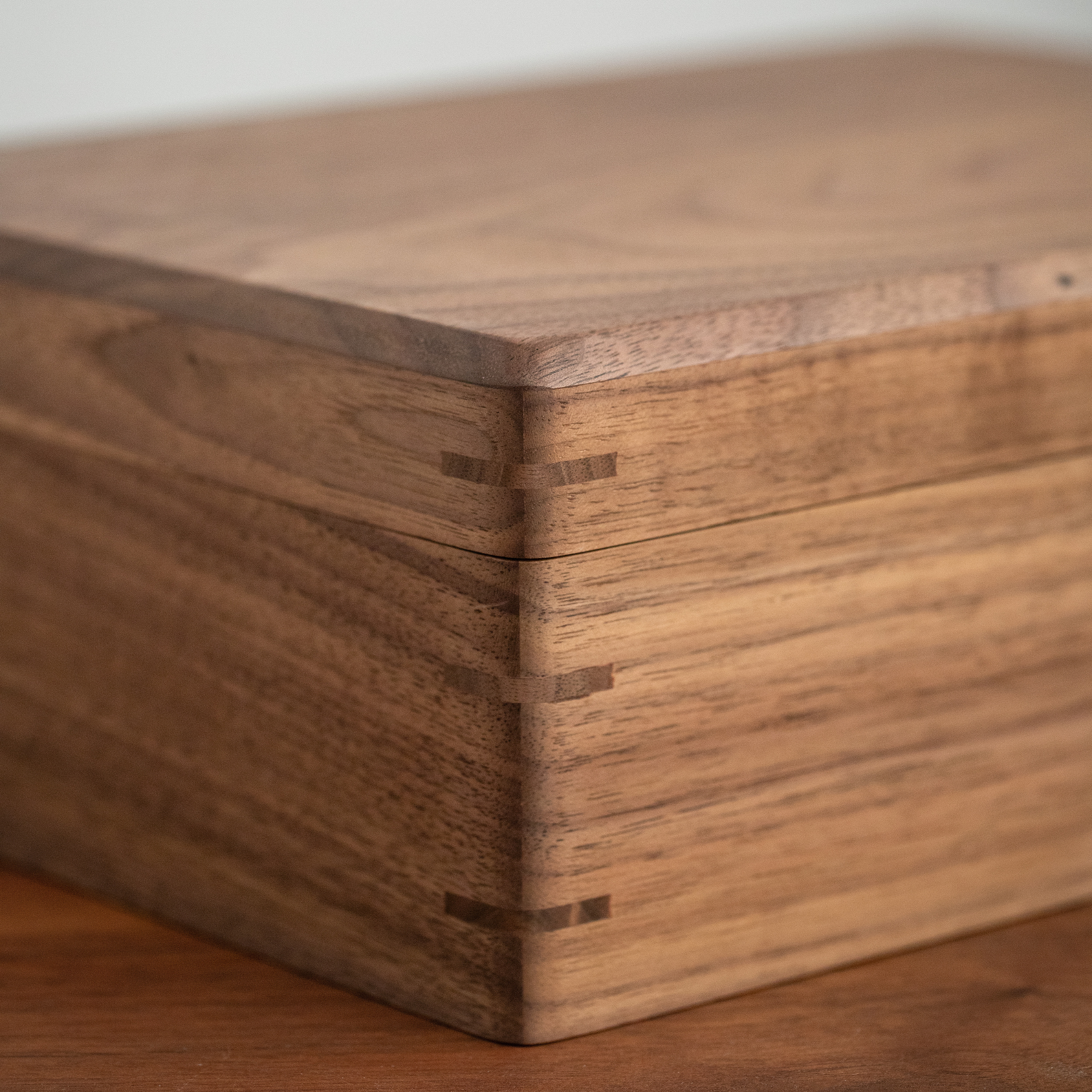 Jewelry Box Medium Pro